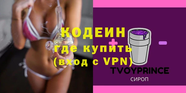 твердый Новодвинск